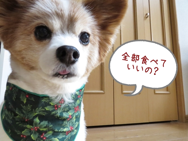 画像 183.ca6.jpg