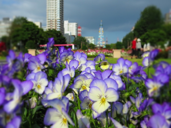 画像 187.ca5.jpg