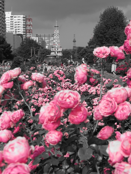 画像 191.ca5.jpg