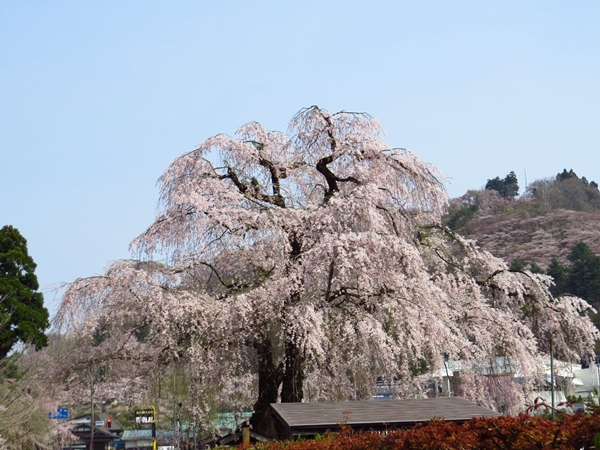 画像 191.sakutabi.jpg