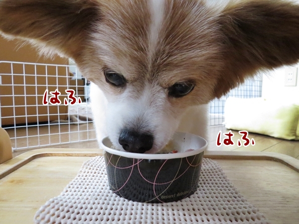 画像 196.ca6.jpg