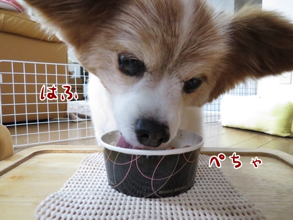 画像 197.ca6.jpg