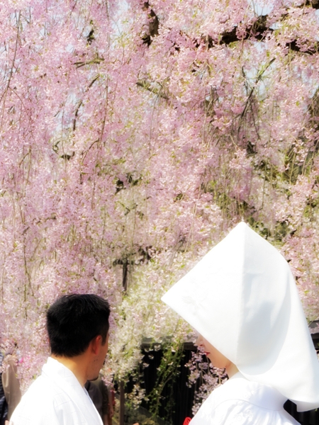 画像 197.sakutabi.jpg