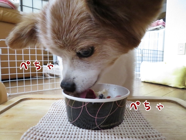 画像 198.ca6.jpg