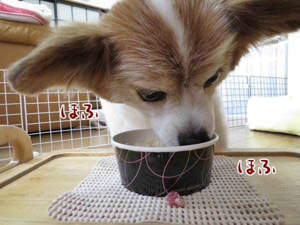 画像 199.ca6.jpg