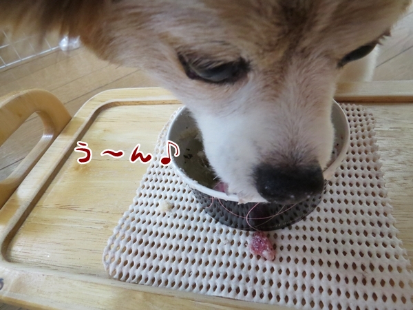 画像 200.ca6.jpg