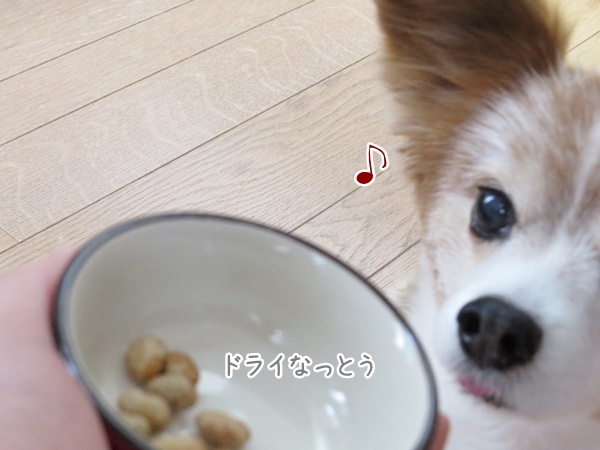 画像 201.ca6.jpg