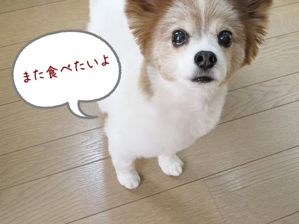 画像 207.ca6.jpg