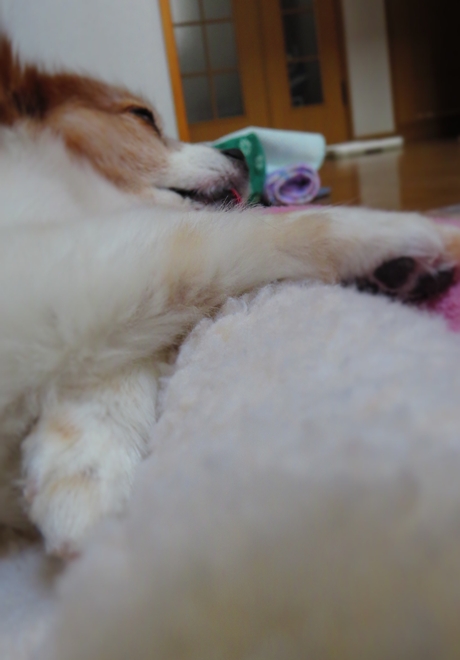 画像 218.ca4.jpg