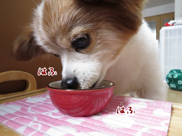 画像 235.ca6.jpg