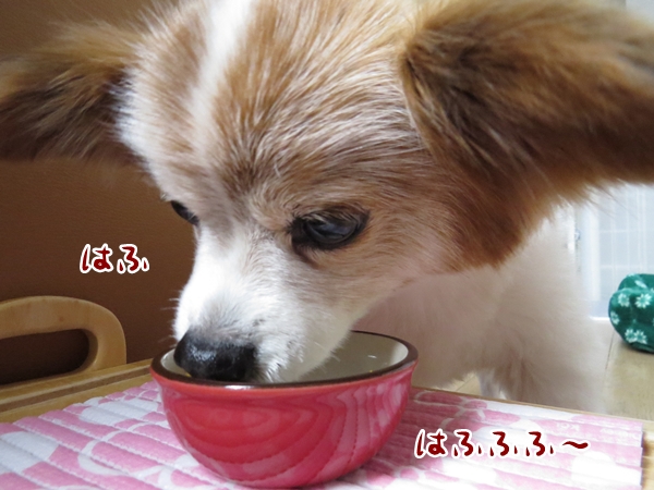 画像 236.ca6.jpg