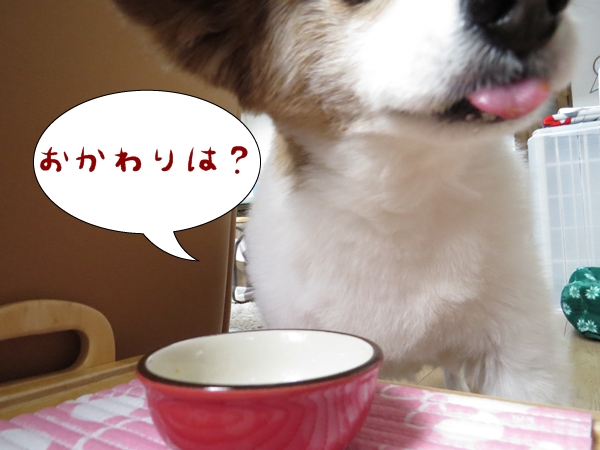 画像 238.ca6.jpg