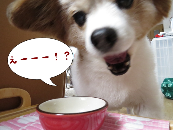画像 239.ca6.jpg