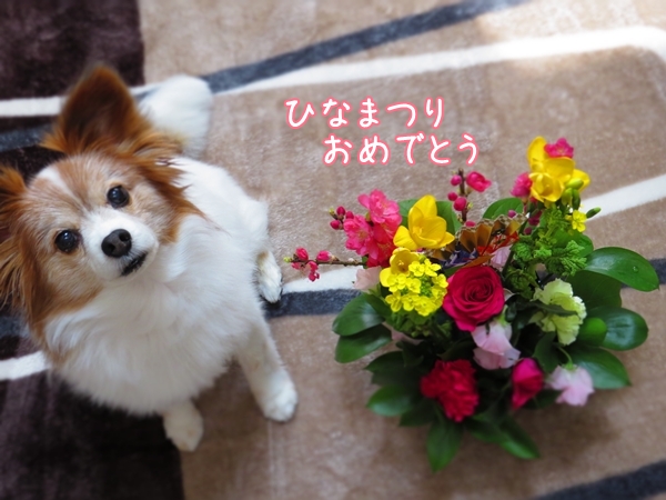 画像 244.ca4.jpg