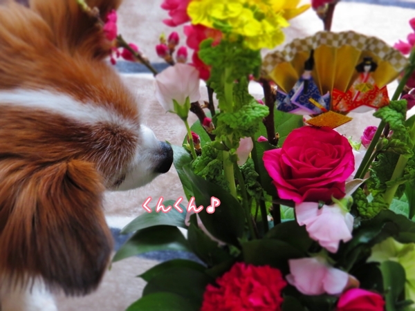 画像 246.ca4.jpg