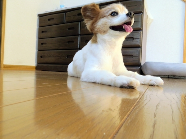 画像 256.ca5.jpg
