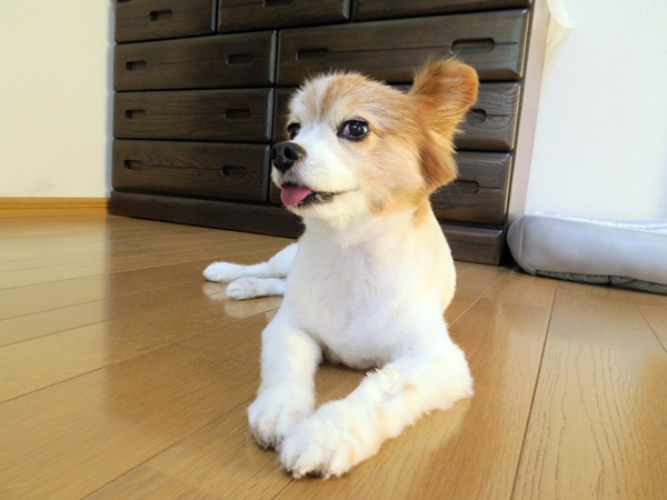 画像 259.ca5.jpg
