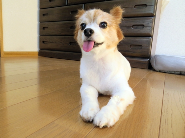 画像 260.ca5.jpg