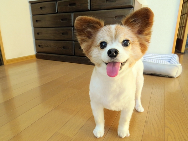 画像 262.ca5.jpg