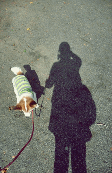 canon3.gif