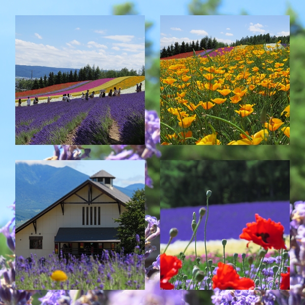furano2.jpg