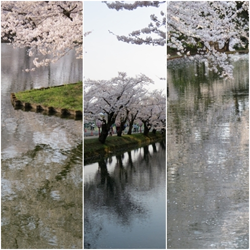 hirosaki6.jpg