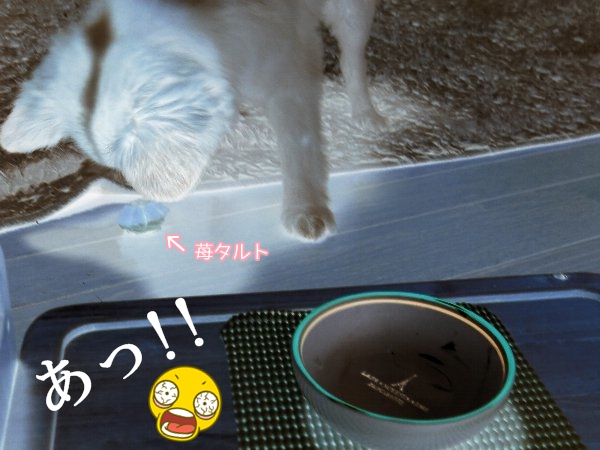ititaru4.jpg