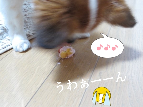 ititaru5.jpg