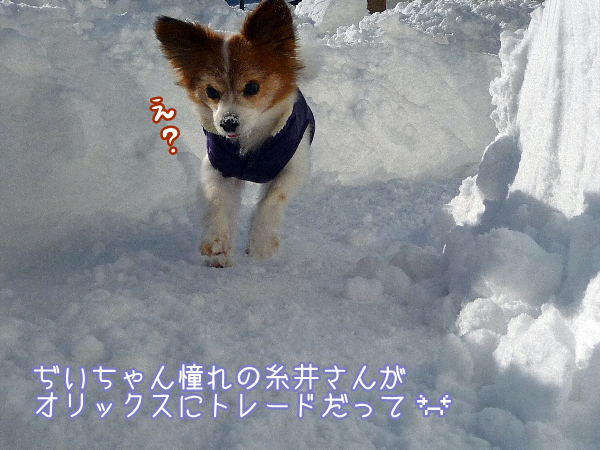itoi1.bmp