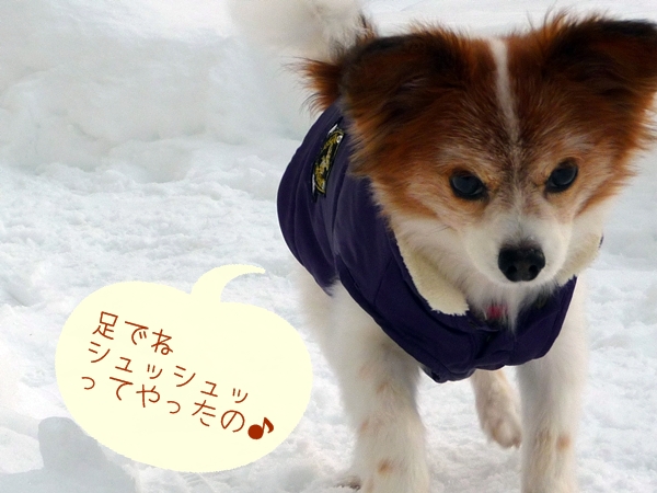 kitu2.jpg