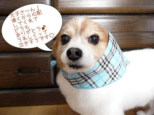 kizuke2.bmp