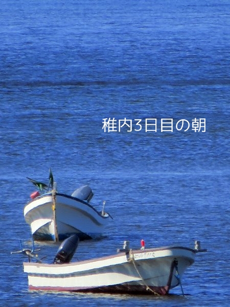 kobu1.jpg
