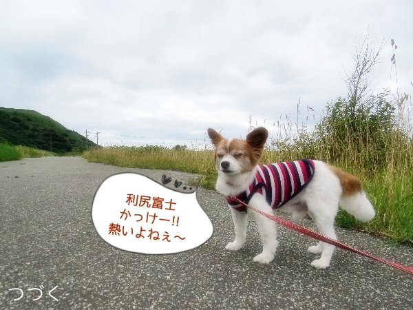 kobu6.jpg