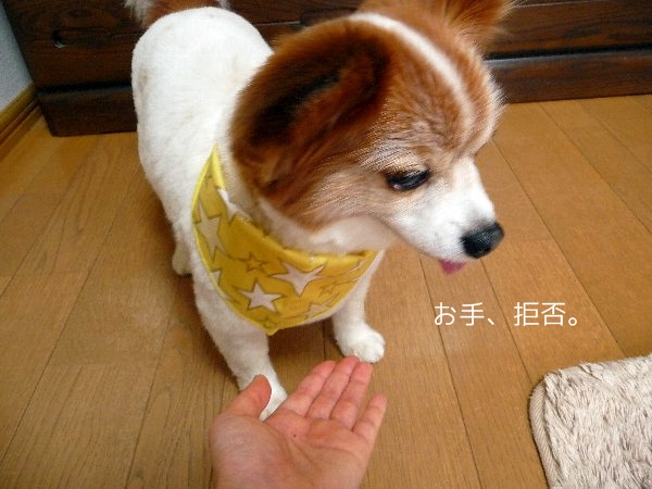 otekyo1.jpg