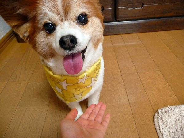 otekyo2.jpg