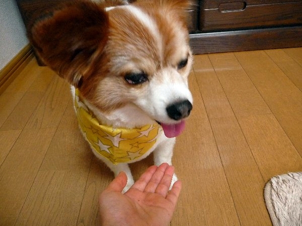 otekyo3.jpg