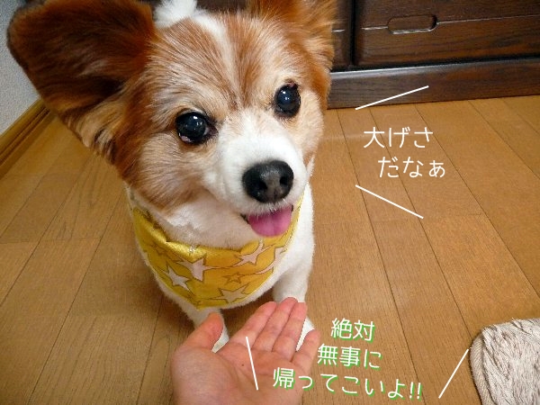 otekyo4.jpg
