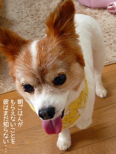 otekyo5.jpg