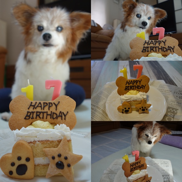 page.happy2.jpg