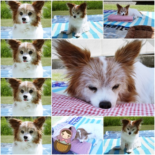 page.so1.doyo.jpg