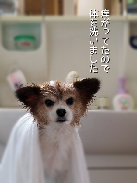 rakuten1.jpg
