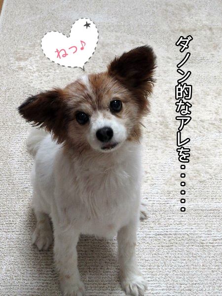 rakuten8.jpg