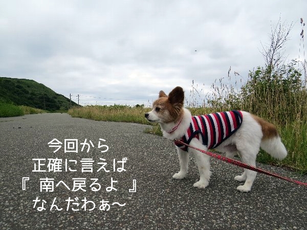 risifuji1.jpg