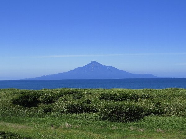 risifuji2.jpg