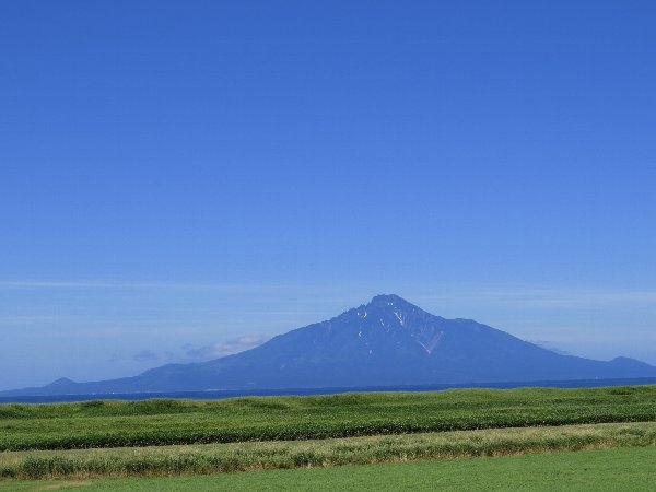 risifuji4.jpg