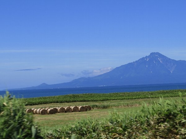 risifuji5.jpg