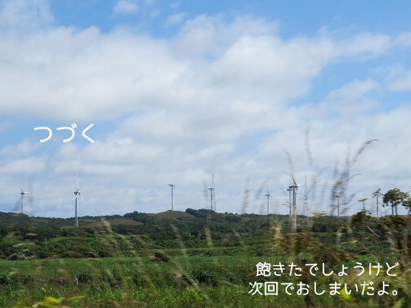 risifuji9.jpg