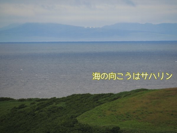 wafutu10.jpg