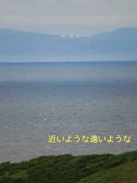 wafutu11.jpg
