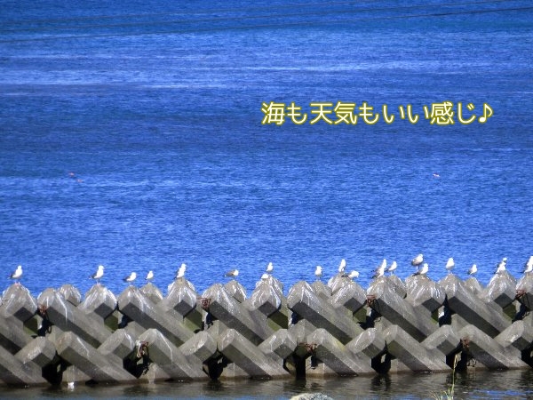 wafutu2.jpg